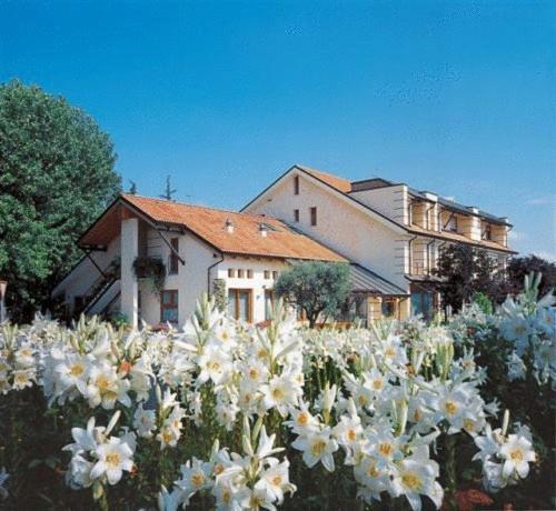 Ca' Delle Rose Hotell Castelfranco Veneto Exteriör bild